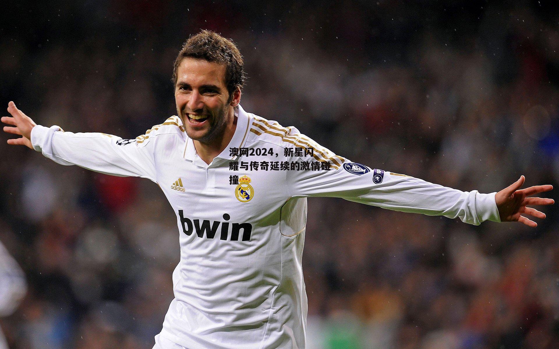 乐竞手机网页版:澳网2024,新星闪耀与传奇延续的激情碰撞